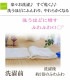 �ڤ����0�õۿ� ȩ��ͥ���� ̵ź�� �̡��ǥ����åȥ� 5�� �������ϥ󥫥� 1�� ��22��22cm ��100%  ������