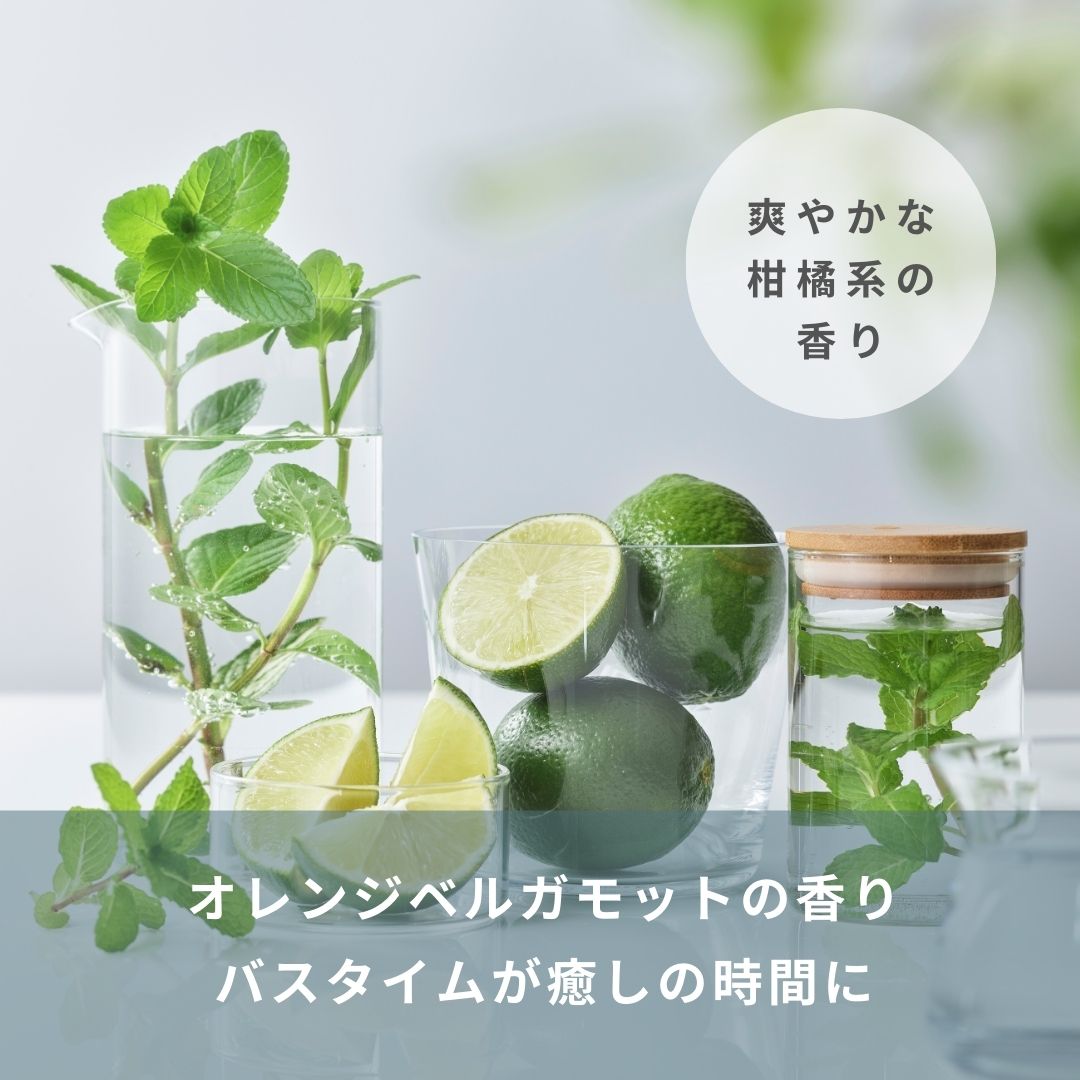【定期便】銀のシャンプー〔スカルプ〕