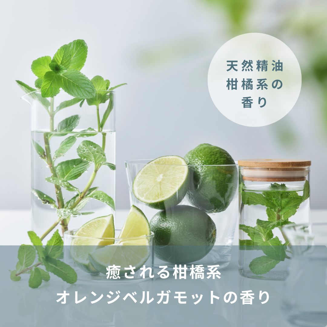 LEA タワーセラム(頭皮養毛料)