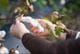 「Seed to Future 2026」プログラム会員募集