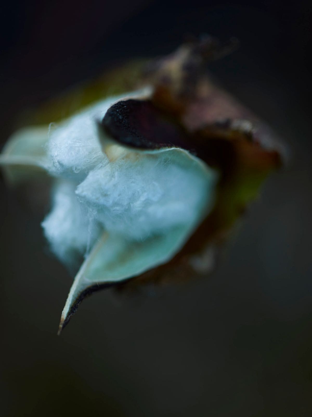 【先行予約】【種から育てた奥出雲のコットン】パジャマ上下セット ブルー｜イニシャル手刺繍カスタム