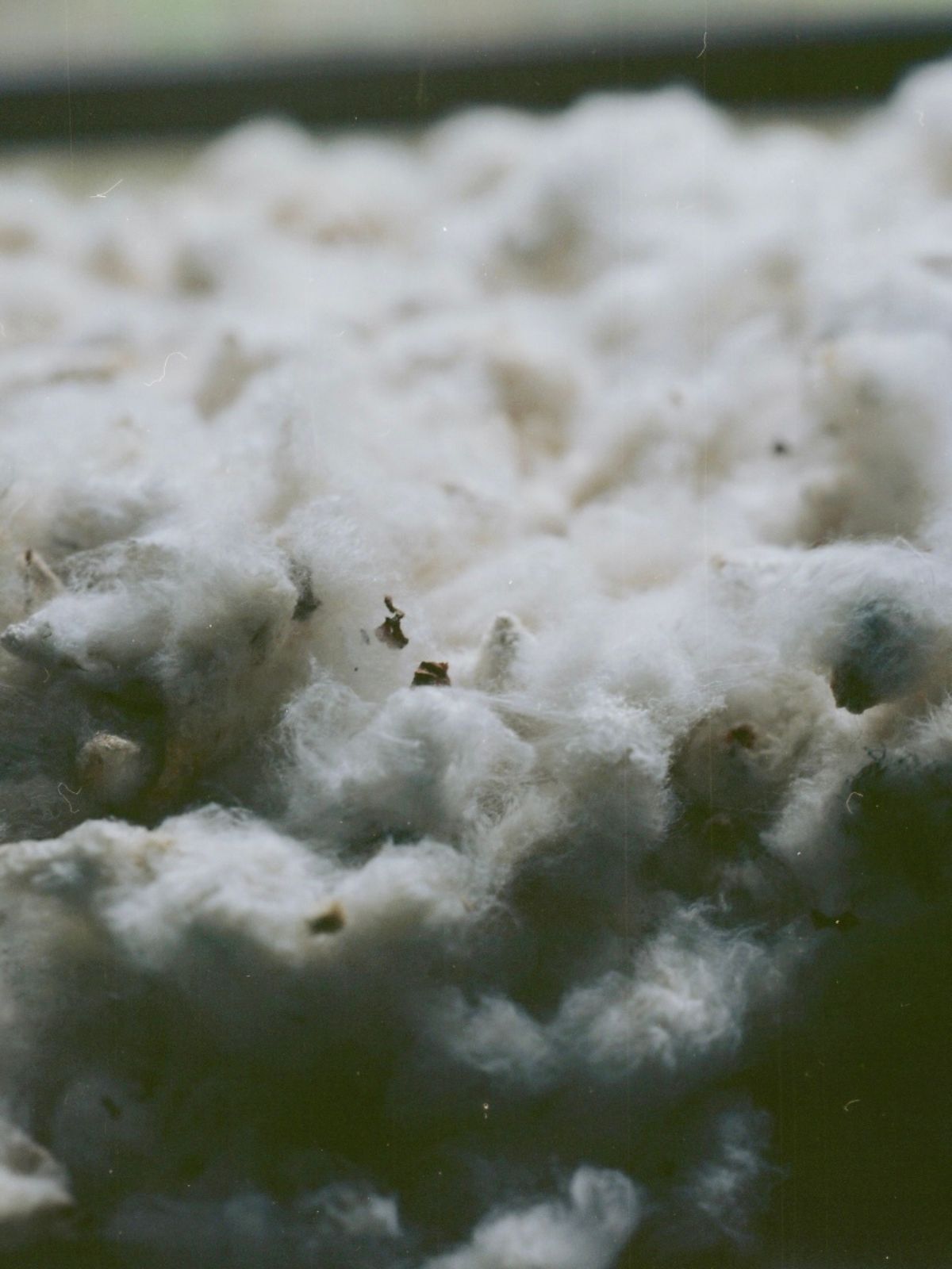 【先行予約】【種から育てた奥出雲のコットン】パジャマ上下セット ブルー｜イニシャル手刺繍カスタム