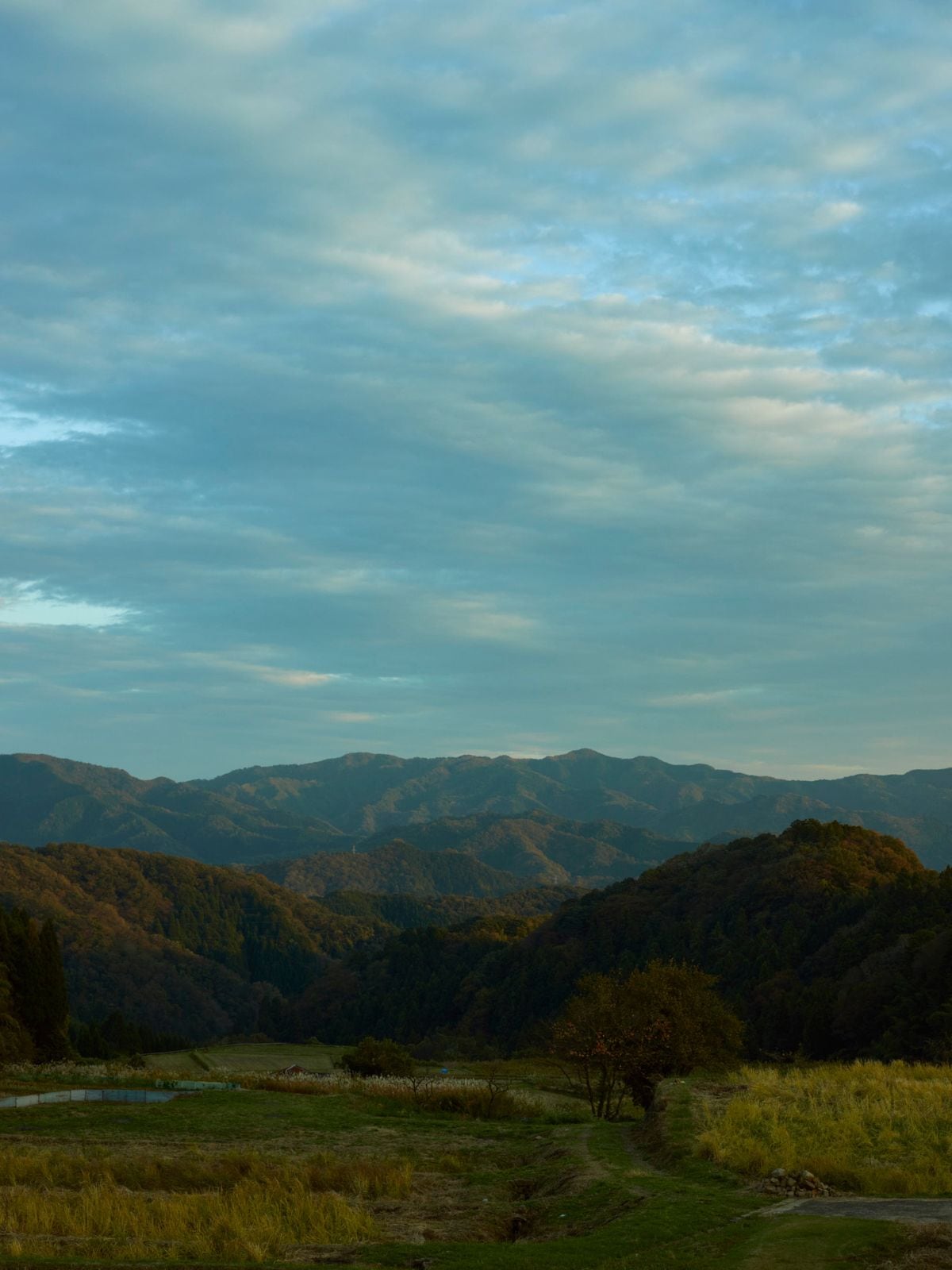 【先行予約】【種から育てた奥出雲のコットン】パジャマ上下セット ホワイト｜イニシャル手刺繍カスタム