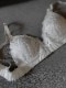 【残りわずか】ライラックレースストリングショーツ　
