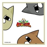 ڥϥɥۥդ󥸥㡼(C)