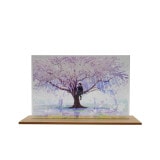 mochaϥץ졼ȡʵر١