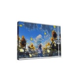 ��mocha�ϵ�������շ��(M)