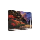 ��mocha�ϵ������Ĺ���(M)