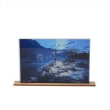 mochaϥץ졼ȡʵػ١