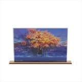 mochaϥץ졼ȡʵӷ١