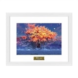 ��mocha��A5ʣ��������ӷ�ʵ�����ˡ�