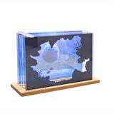 mochaϤ&#174;ʻͽաˡڳϡ