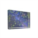 ��mocha�Ͽ���ͷ�������(M)