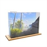 ��mocha�Ϥ���������®�ʻͽ��ա���Ƚ�ڲƶ �ƻ�Ver.��