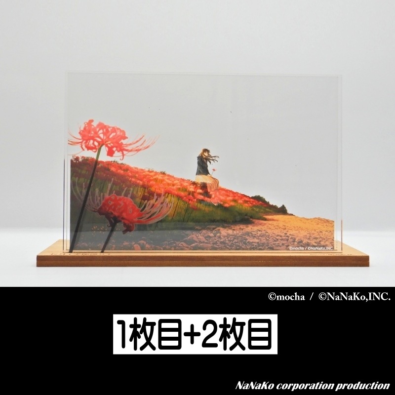 ��mocha�Ϥ���������®�ʸ޽��աˡ�Ĺ��ڵ�����ۡ�