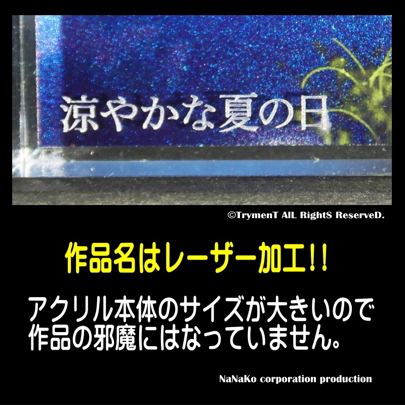 ��TrymenT]������륪���ʥ�����Ƚ���ä䤫�ʲƤ���)