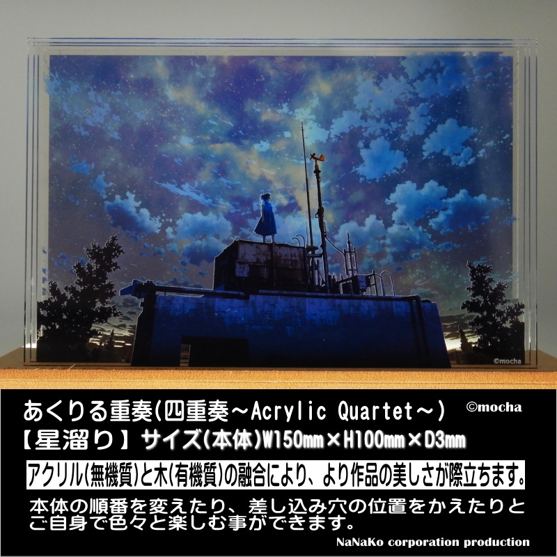 ��mocha�Ϥ���������®�ʻͽ��աˡ���ί��ۡ�