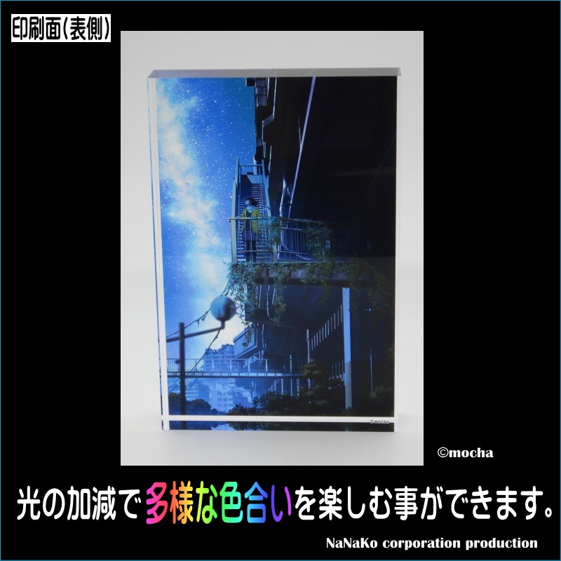 ��mocha�����Ǥ�(M)