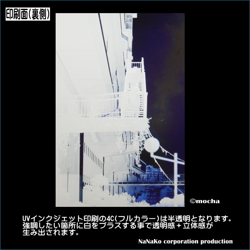 ��mocha�����Ǥ�(M)