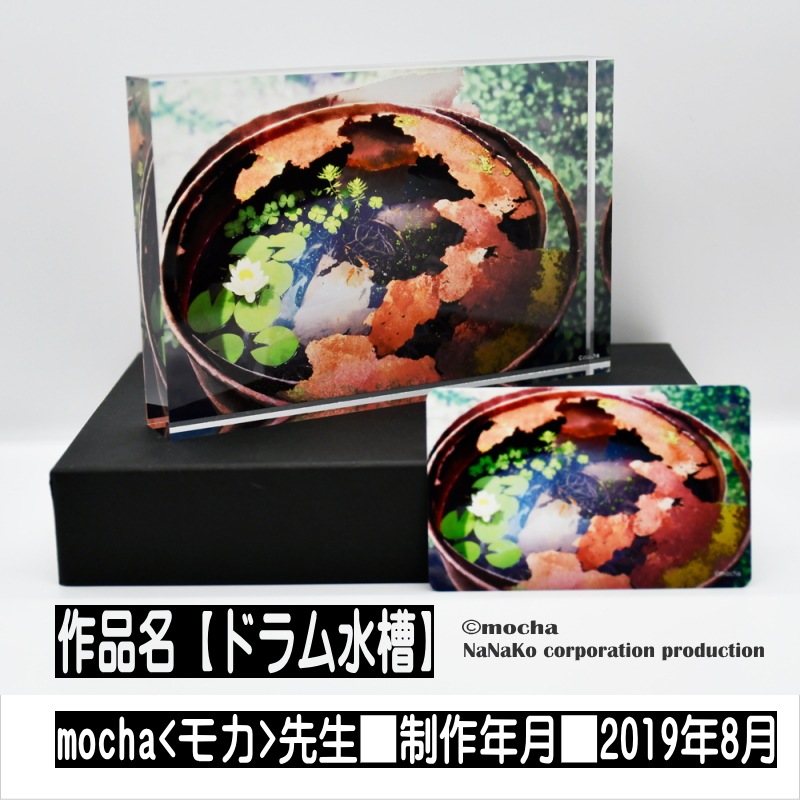 ��mocha]������륪���ʥ��ȡʥɥ�����)
