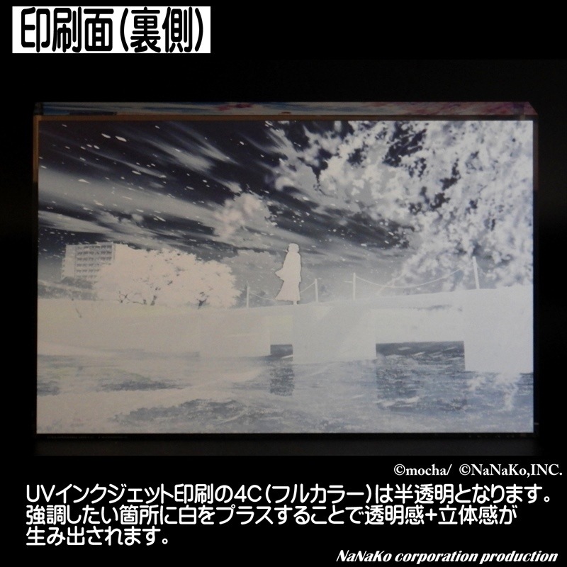 ��mocha���ߡʻ͵���(L)