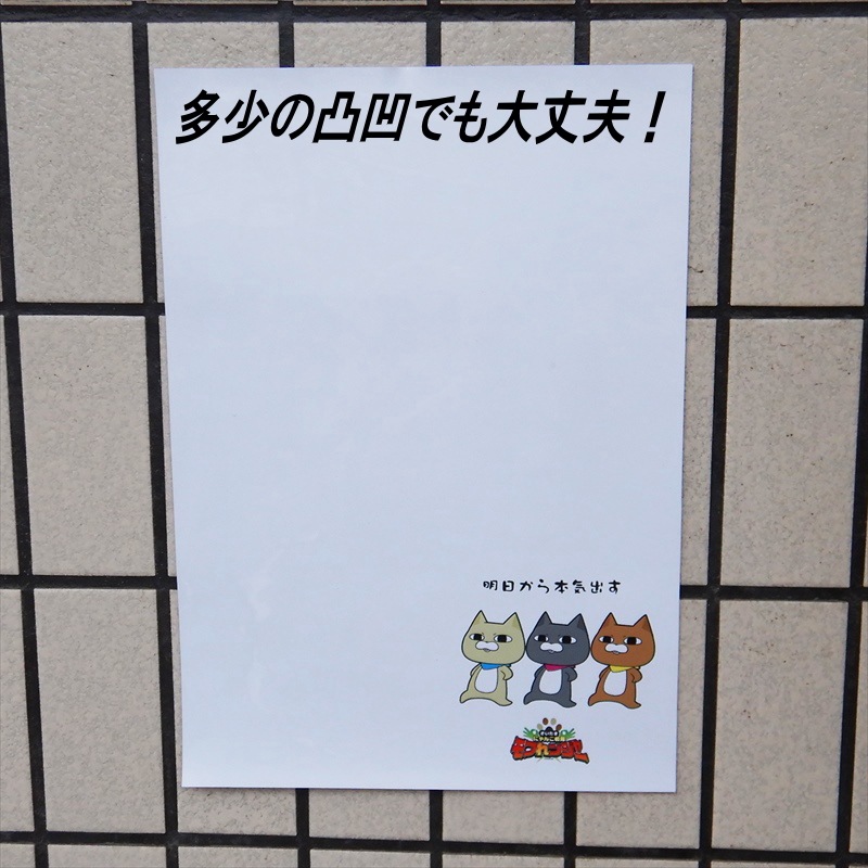 �ڵ��奷����B5�ۤ����пؤˤ�!!