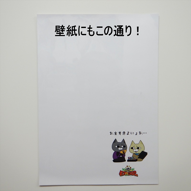 �ڵ��奷����B5�ۤ����пؤˤ�!!