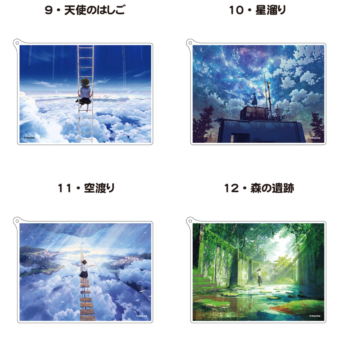 ��mocha��<6��>ξ�̥�����륭���ۥ���������򼰡�