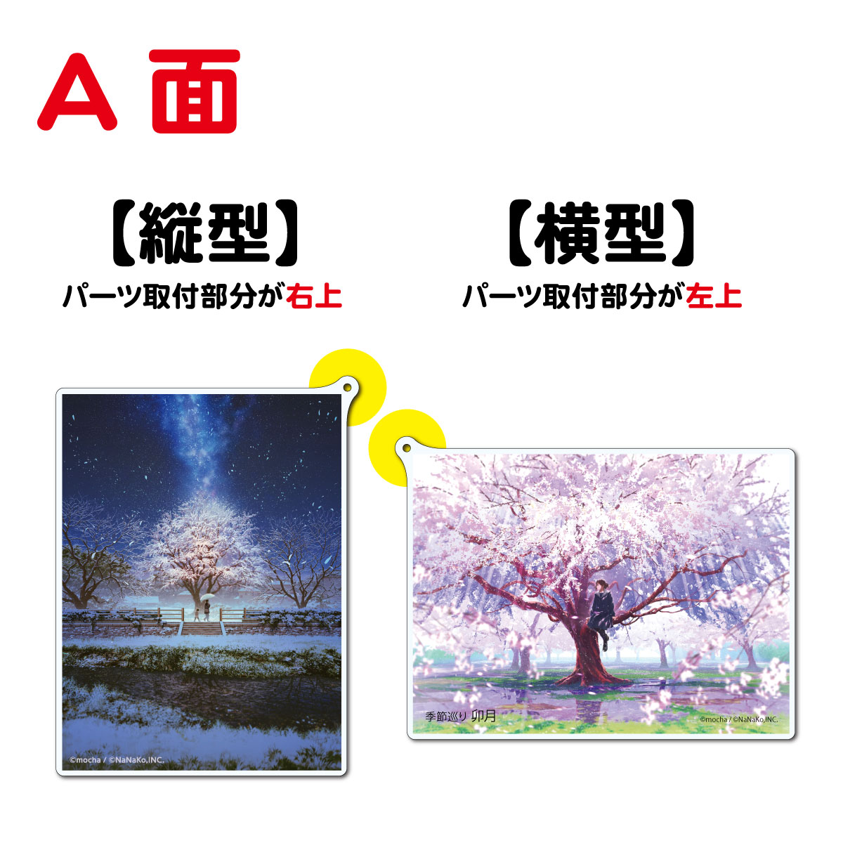 ��mocha��<6��>ξ�̥�����륭���ۥ���������򼰡�