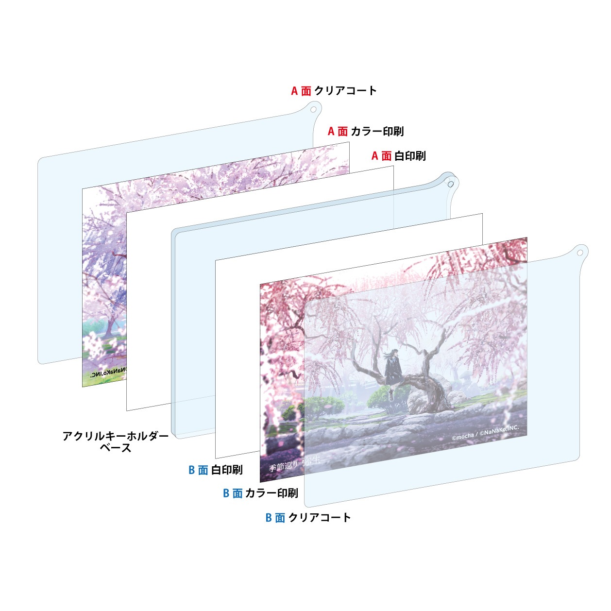 ��mocha��<6��>ξ�̥�����륭���ۥ���������򼰡�