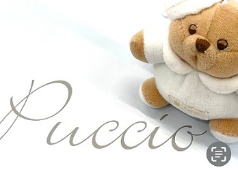 PUCCIO �����ۥ����(�֥롼)