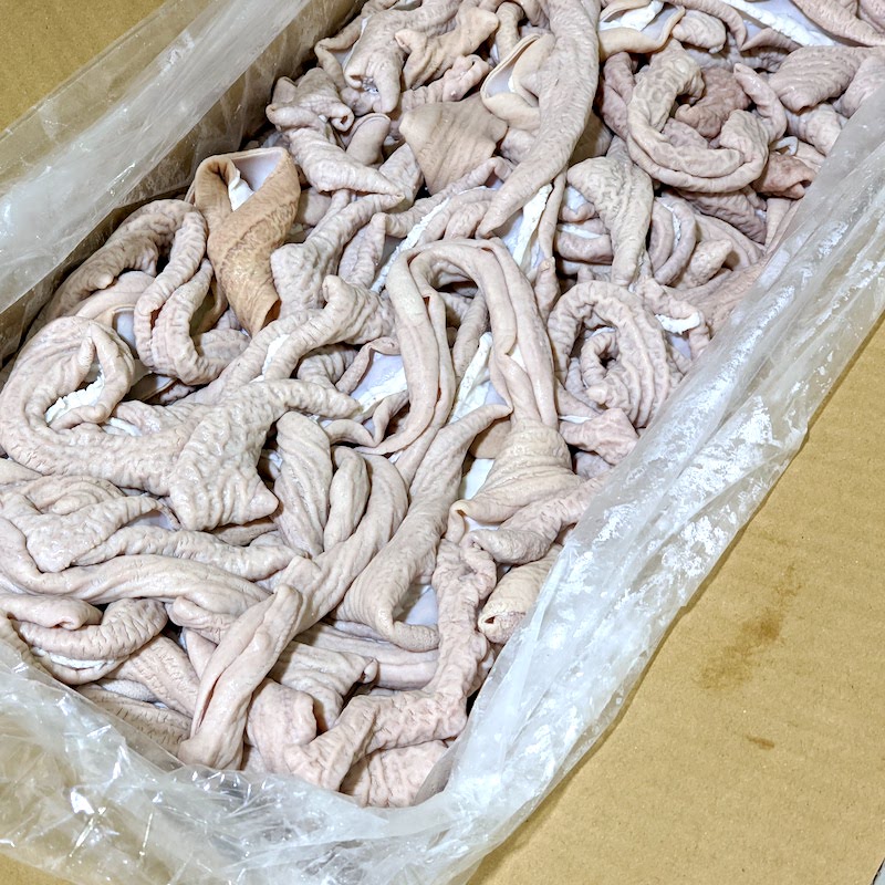【送料無料】豚小腸ボイル　10kg
