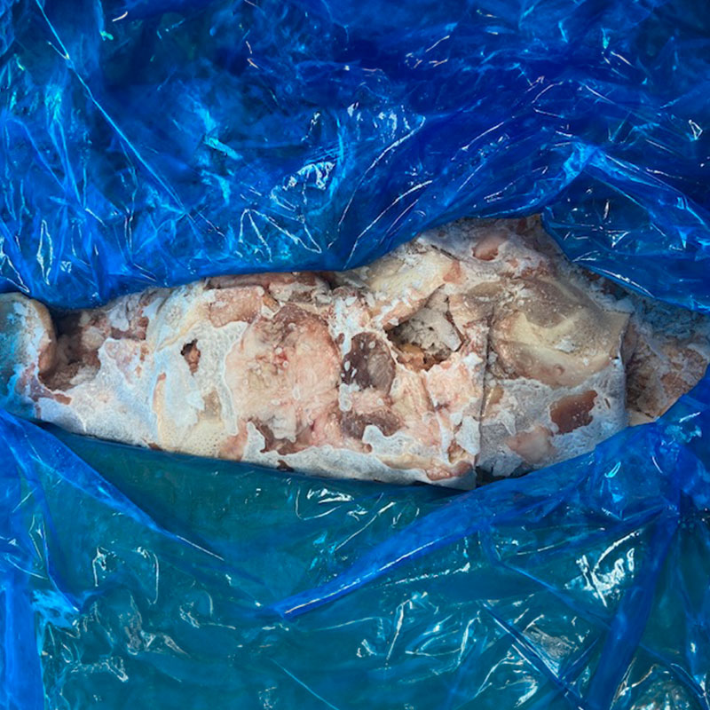 【送料無料】豚タン元 10kg【希少部位】