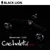 BLACK LION Cachalot ef Limited ()