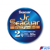 ����� ����˥���������