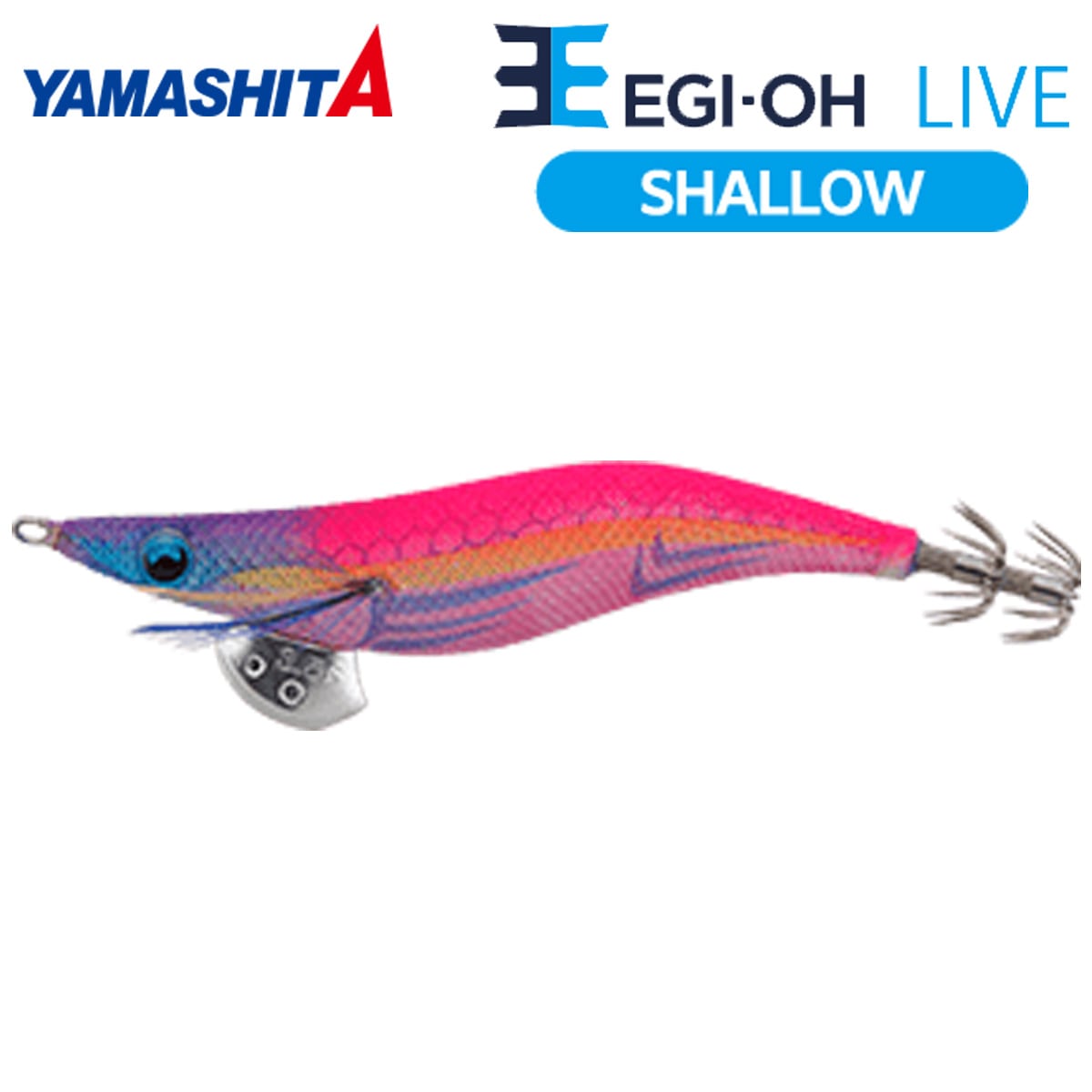 YAMASHITAエギ王Q LIVE シャロー 3.5 廃盤品 14本セット