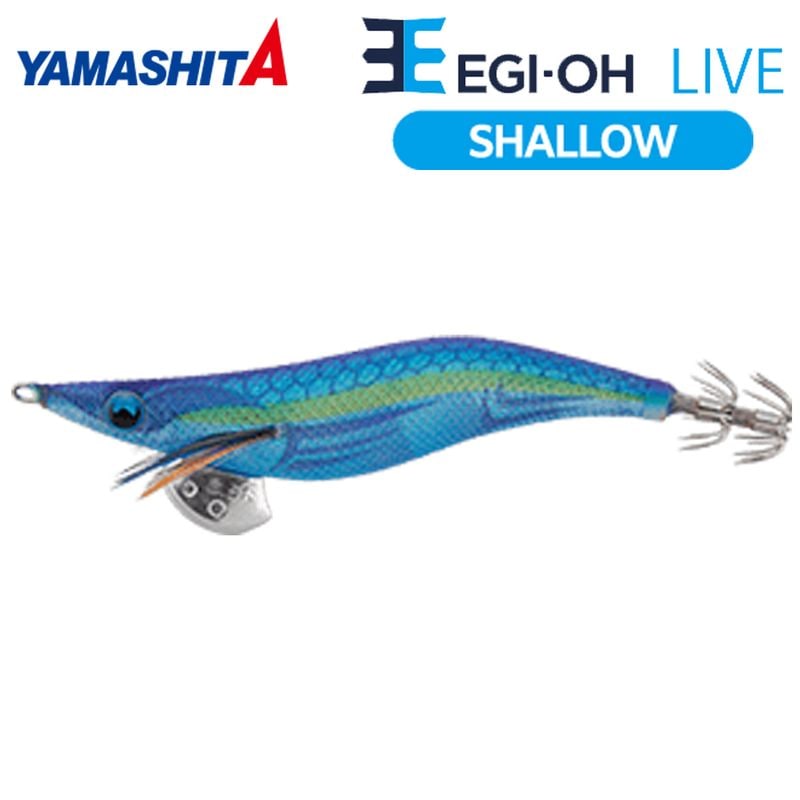 YAMASHITAエギ王Q LIVE シャロー　3.5 廃盤品　14本セット ヤマリア エギ王 LIVE シャロー 3.5号 036 チラツキアジ【ゆう