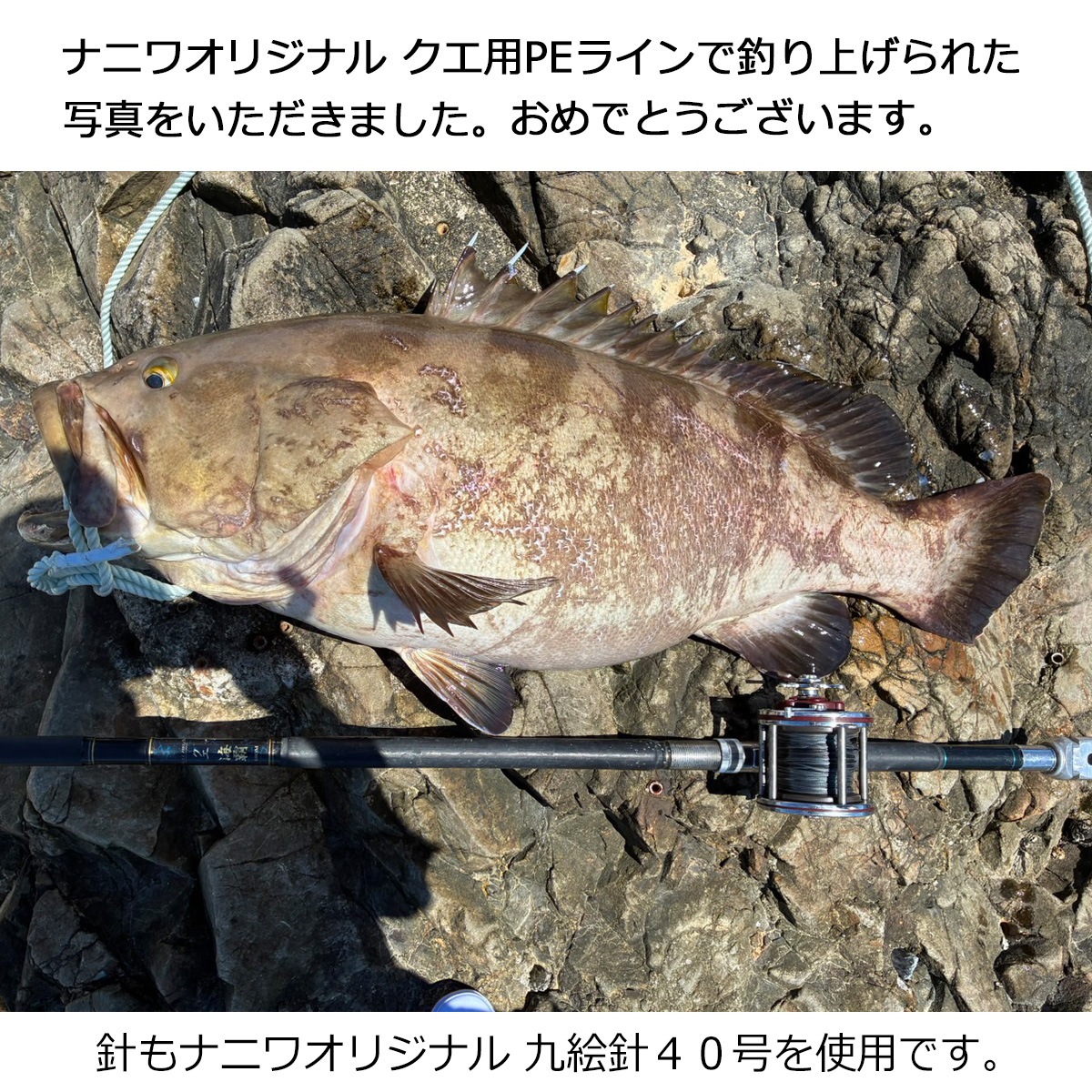 �ʥ˥索�ꥸ�ʥ� ������PE�饤�� 70�� 300m