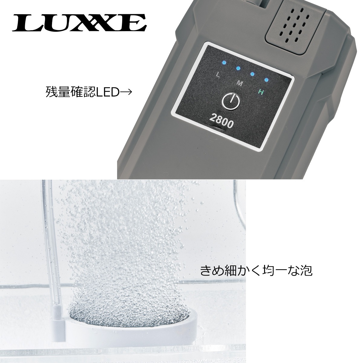 ���ޤ��� LUXXE �������ݥ��2800 LE156