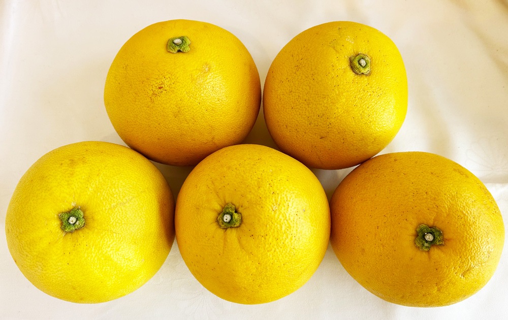 �ڤ������ѡ���ʬ���������ܤ󥻥å�