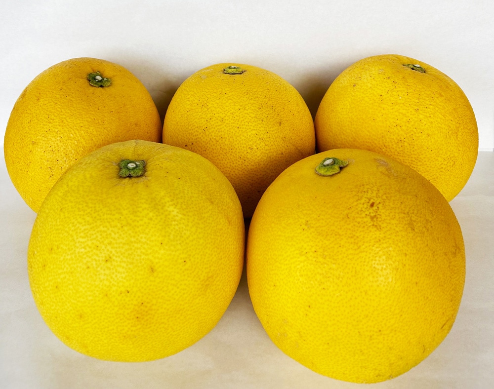 �ڤ������ѡ���ʬ���������ܤ󥻥å�