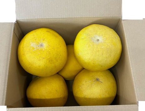 �ڤ������ѡ���ʬ���������ܤ󥻥å�