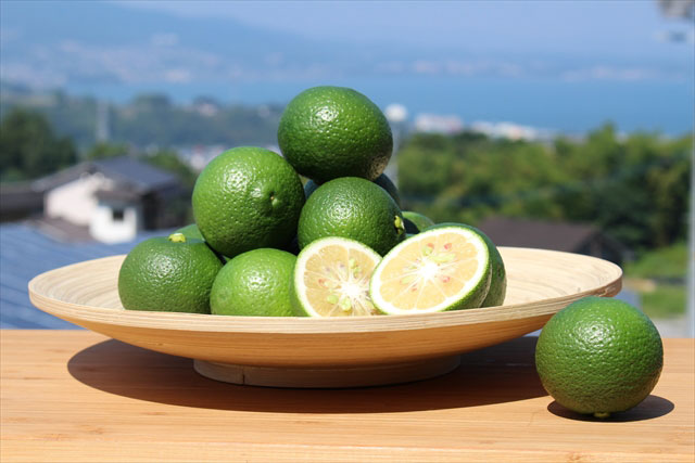 ���������ߡ���ʬ����īŦ�������ܤ��Ĳ̡�£���ѡϡ�3.6�������