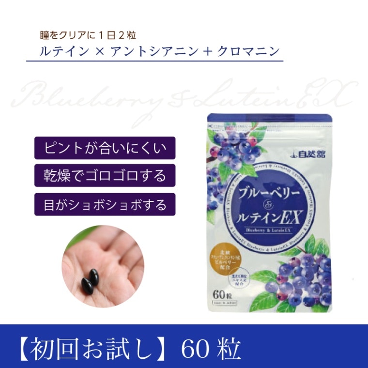 【お試し価格】ブルーベリー&ルテインEX(60粒)※送料無料、お一人様1個1回限り