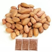 ���ԡ��ʥå���γ 1kg��3�� ����भ������� �������դ� �����������ۻҤκ����Ȥ��� ��̳������