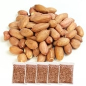 ���ԡ��ʥå���γ 1kg��5�� ����भ������� �������դ� �����������ۻҤκ����Ȥ��� ��̳������