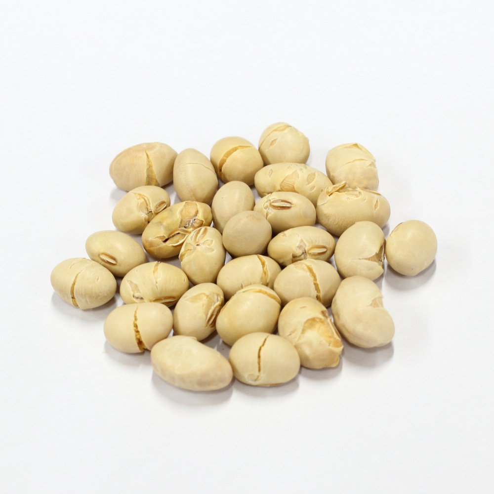 ����Ʋ Ω����ȥߥ���Ʀ (8g��100��)��2�� 2026ǯ��ʬ �彣��������Ʀ ������