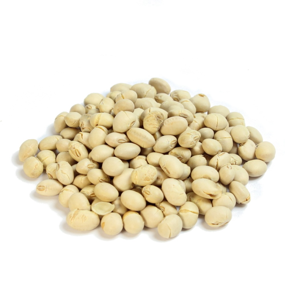 ����Ʀ 45g��40��2Ȣ 2026ǯ��ʬ �彣���ե��楿���Υ������� Ʀ�ޤ��� ���Τޤ޿��٤Ƥ⤪������ ����������