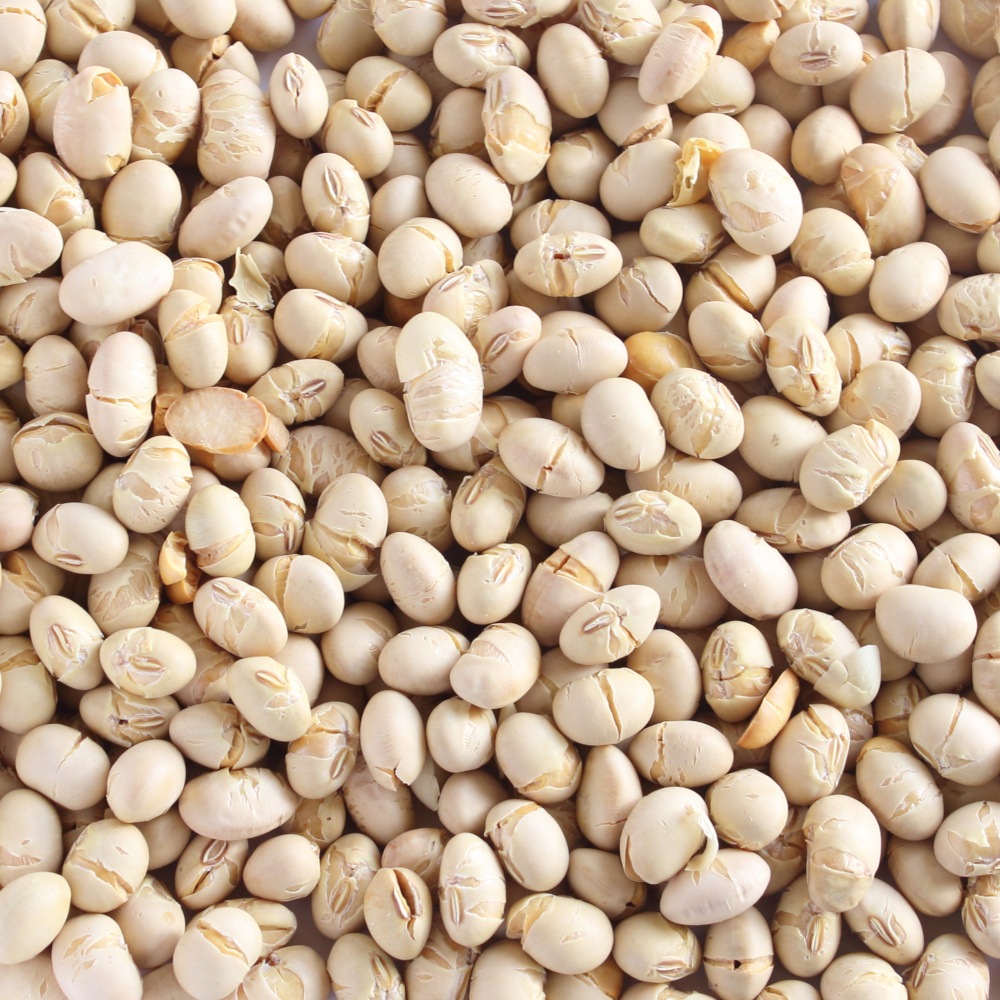 ����Ʀ 45g��40��4Ȣ 2026ǯ��ʬ �彣���ե��楿���Υ������� Ʀ�ޤ��� ���Τޤ޿��٤Ƥ⤪������ ����������