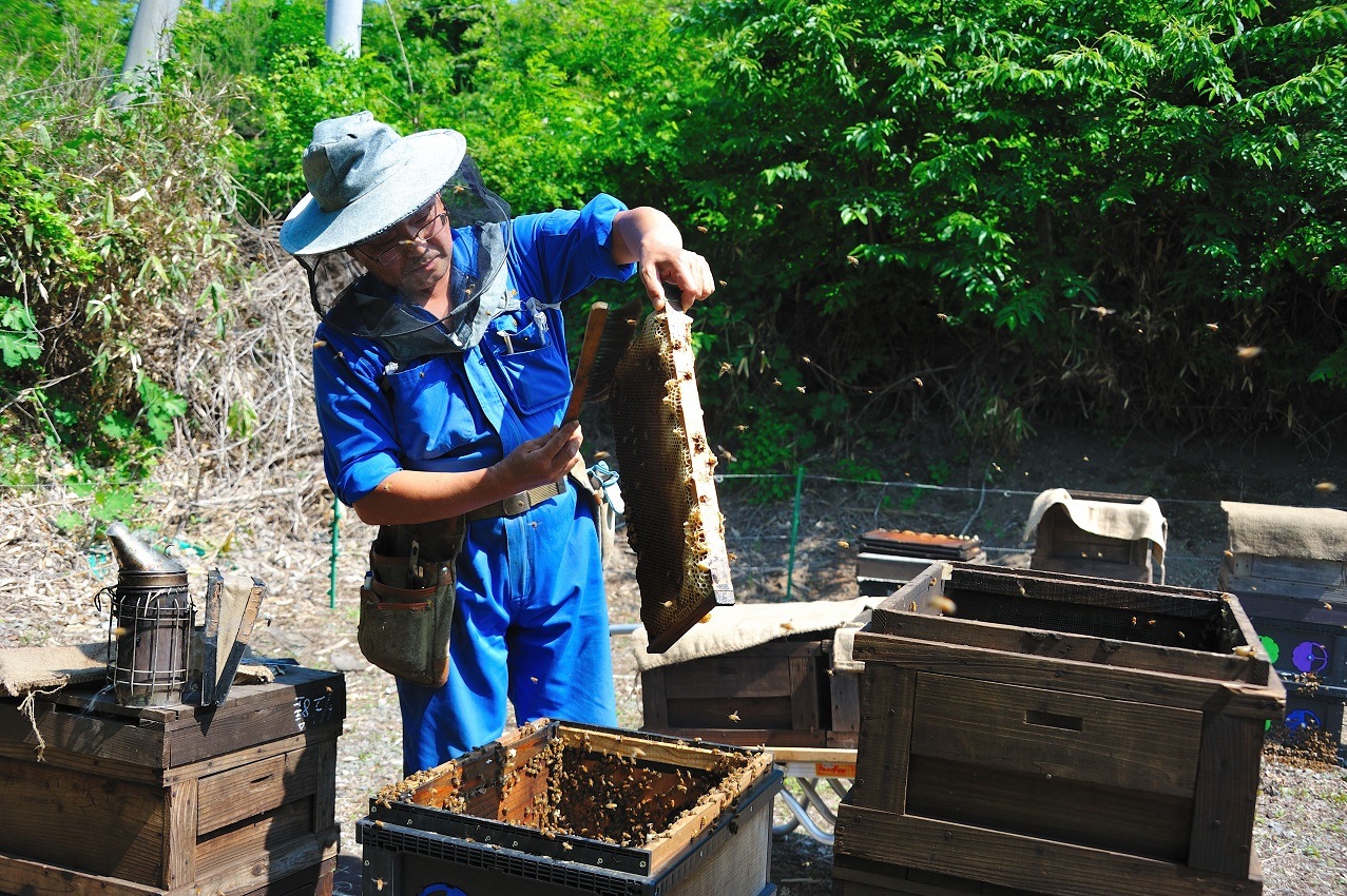 �̤���ƤΤϤ��ߤĿ�����١�4�糧�å�